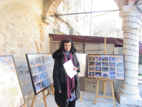 U SUSRET BOŽIĆU – BOŽIĆNE JASLICE 